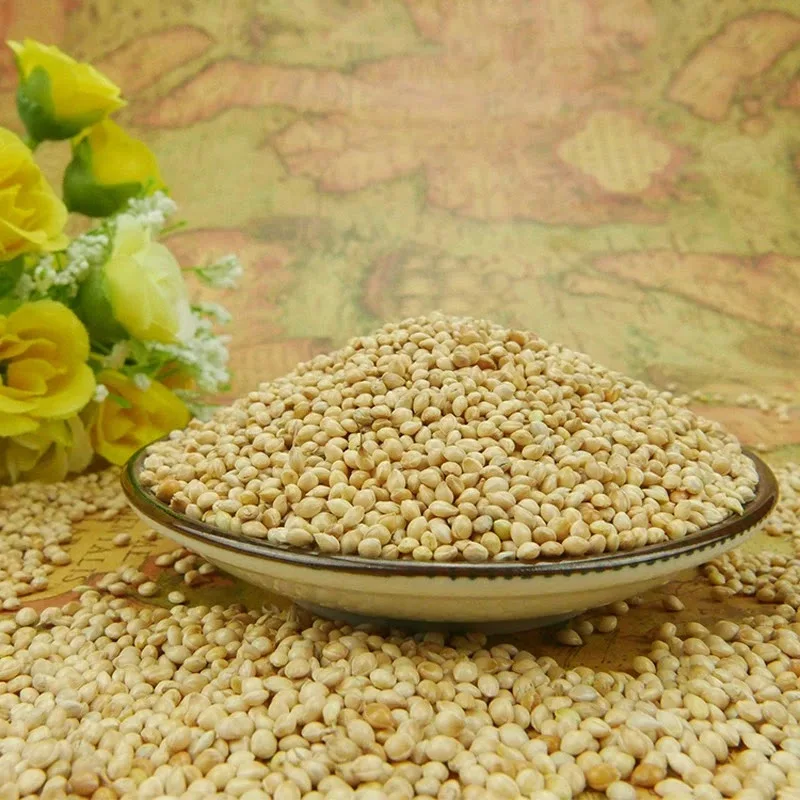 
Highly Purity White Broomcorn Millet 