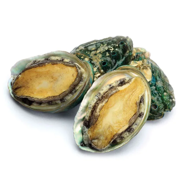 Завод морепродуктов, замороженный морской чай/консервированный морской чай/сушеный Морской чай, оптовая цена на очищение морской морщины