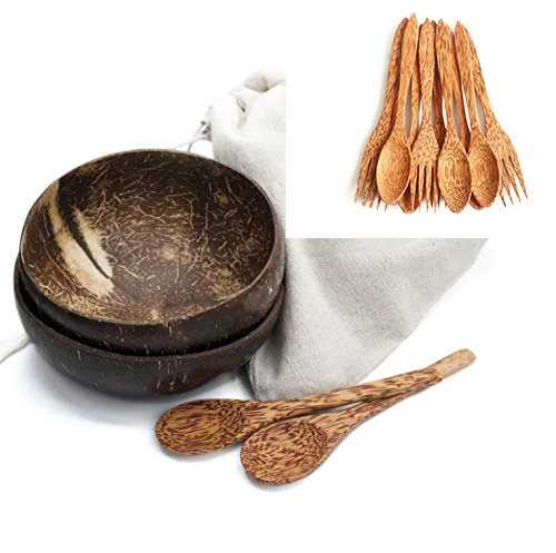 Eco-Friendly Feature and Bowls Dinnerware Type coconut shell cups for ice cream Coconut Shell Bowl with spoon dinnerware sets 2024 Trend
