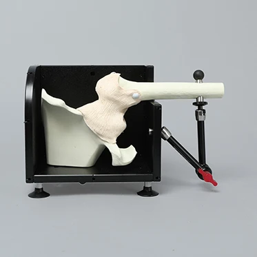 Sawbones 1703-696 Express Arthroscopy Hip