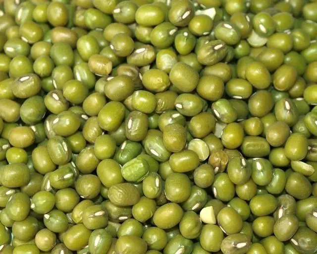 mung_beans_01.jpg