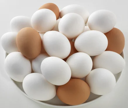 Quality White Fresh Chicken Table Eggs/Fresh Chicken