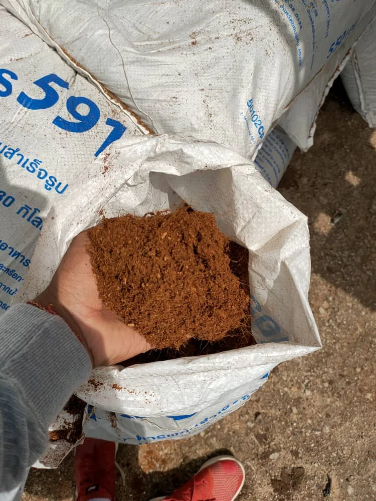 
Wholesale Bulk Cheap Price Natural Brown Coconut Peat Powder With 100% Organic For Plant 