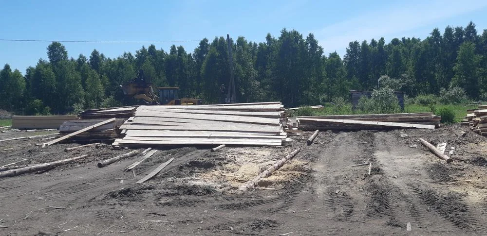 High Quality Edged Board Pine Wood Lumber Timber