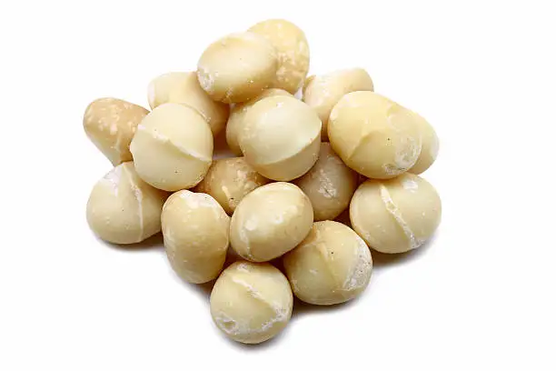 60g Roasted Dried Nibbles Premium Australian Roasted Salted Macadamia Nut Made In Australia