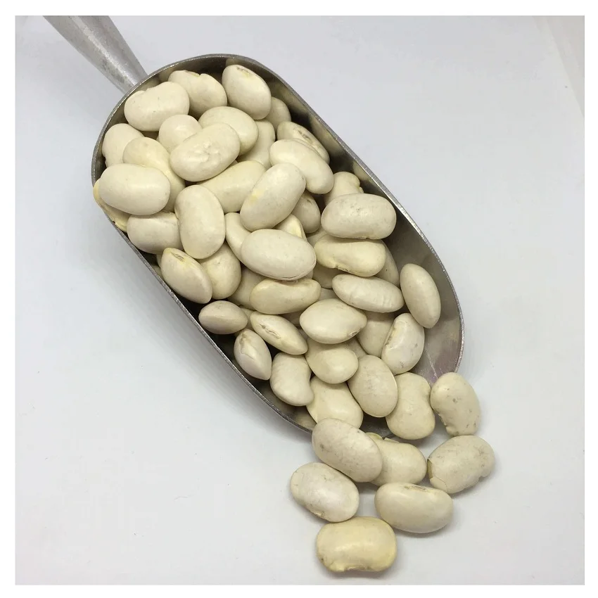 
Wholesale Best Price Supplier of fresh Dried BUTTER BEANS with Fast Delivery 