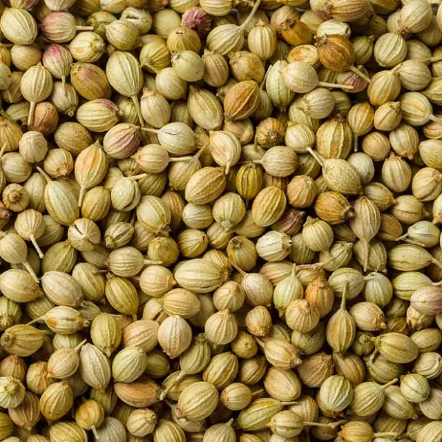 CHIA  / CUMIN  AND LINSEEDS Organic Coriander Agric Seeds For Sale