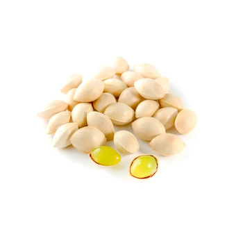 Fresh/ Dried Ginkgo Nuts Wholesale From Turkey In Bulk Top Grade - Buy Ginkgo Nuts