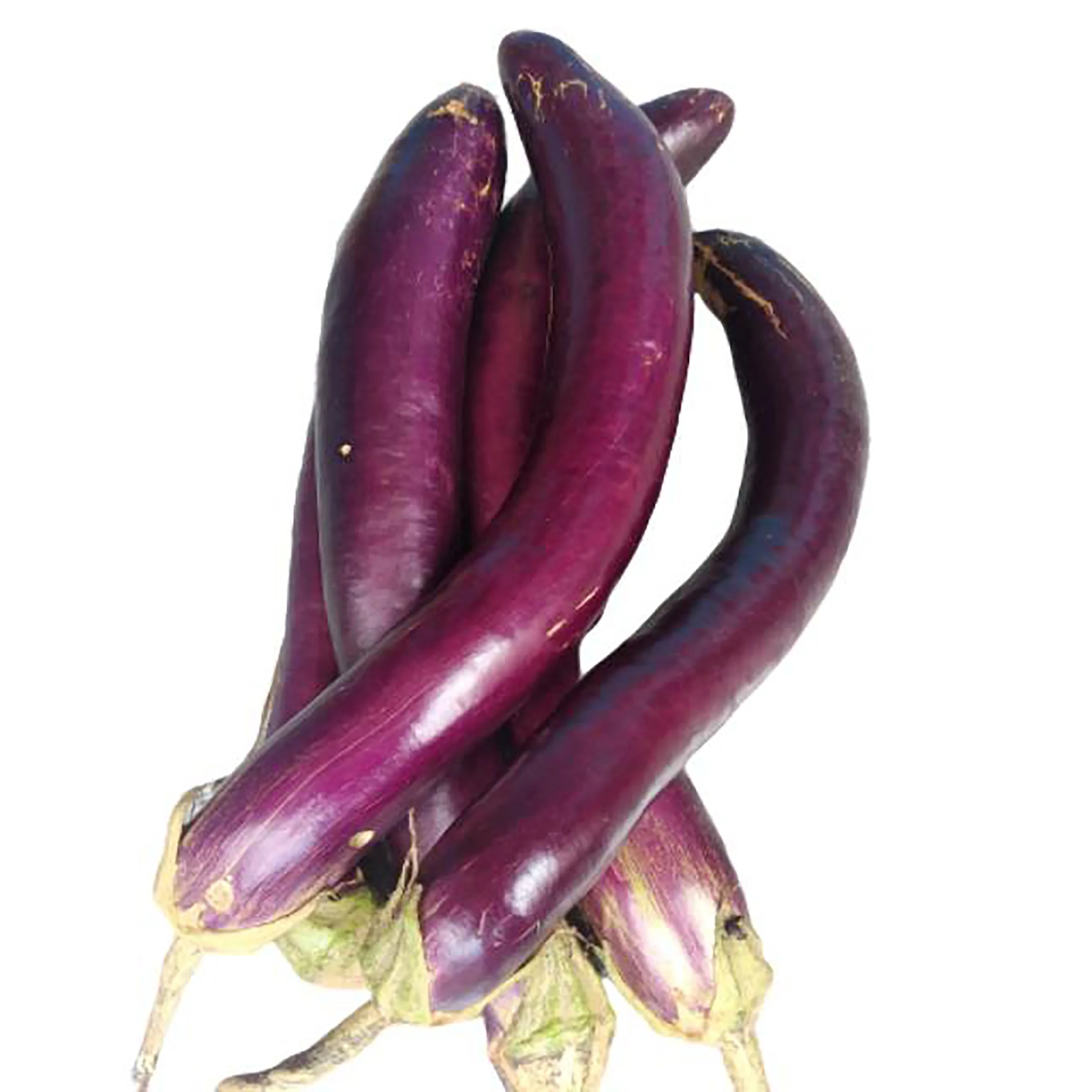 
Top Grade Fresh Egg plant In Large Quantity For Competitive Rates 