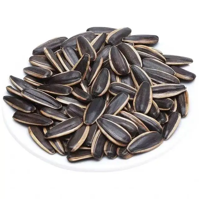 Wholesale Price Sunflower Seed Kernels Available for Sale Bulk Quantity