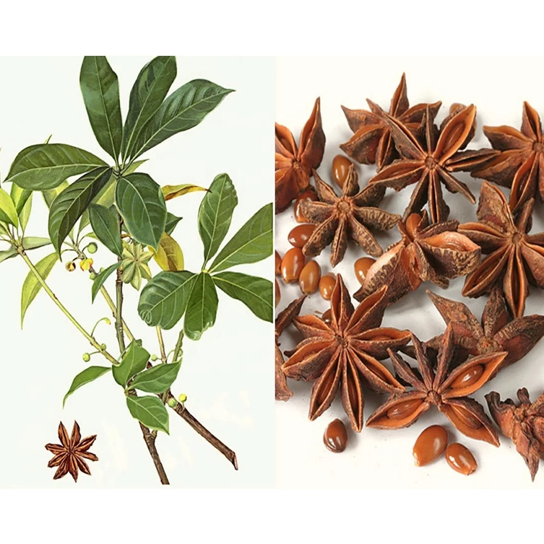 Сушеные натуральные продукты со звездным Анисом 100% органические специи и травы Натуральные сделано в вьетнаме