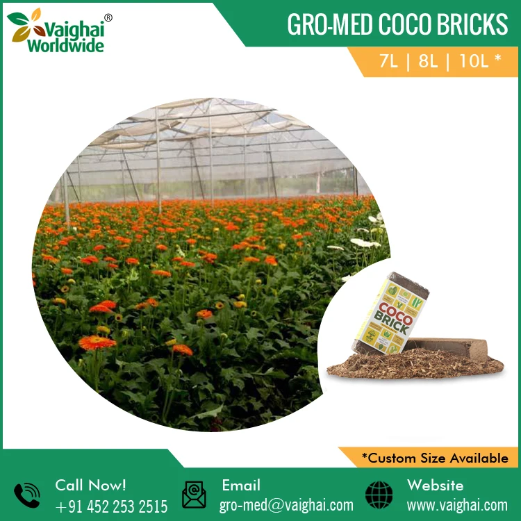 Coco Coir Peat Bricks | Perfectly suited To Grow Fruit Plants Herbs And Succulents