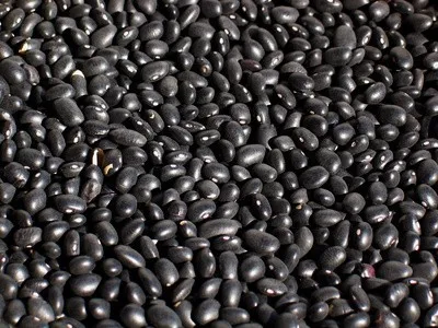 NEW VIETNAM BLACK BEANS ( GREEN INSIDE )