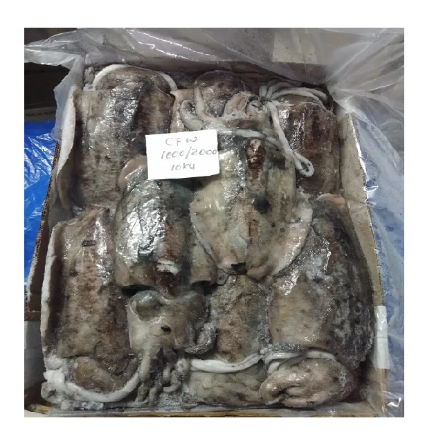 Block frozen Cuttlefish whole from India, cuttlefish size 1000/2000, 2000 up