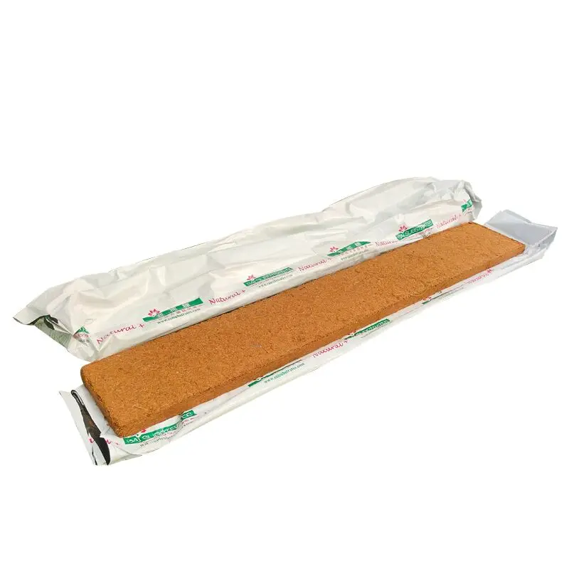 100% натуральное вьетнамское растение в горшке COCOPEAT и COCO