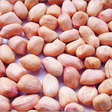 Fresh Indian Quality Peanuts High Nutritive Value Red Skin Peanuts Kernel at Wholesale Price