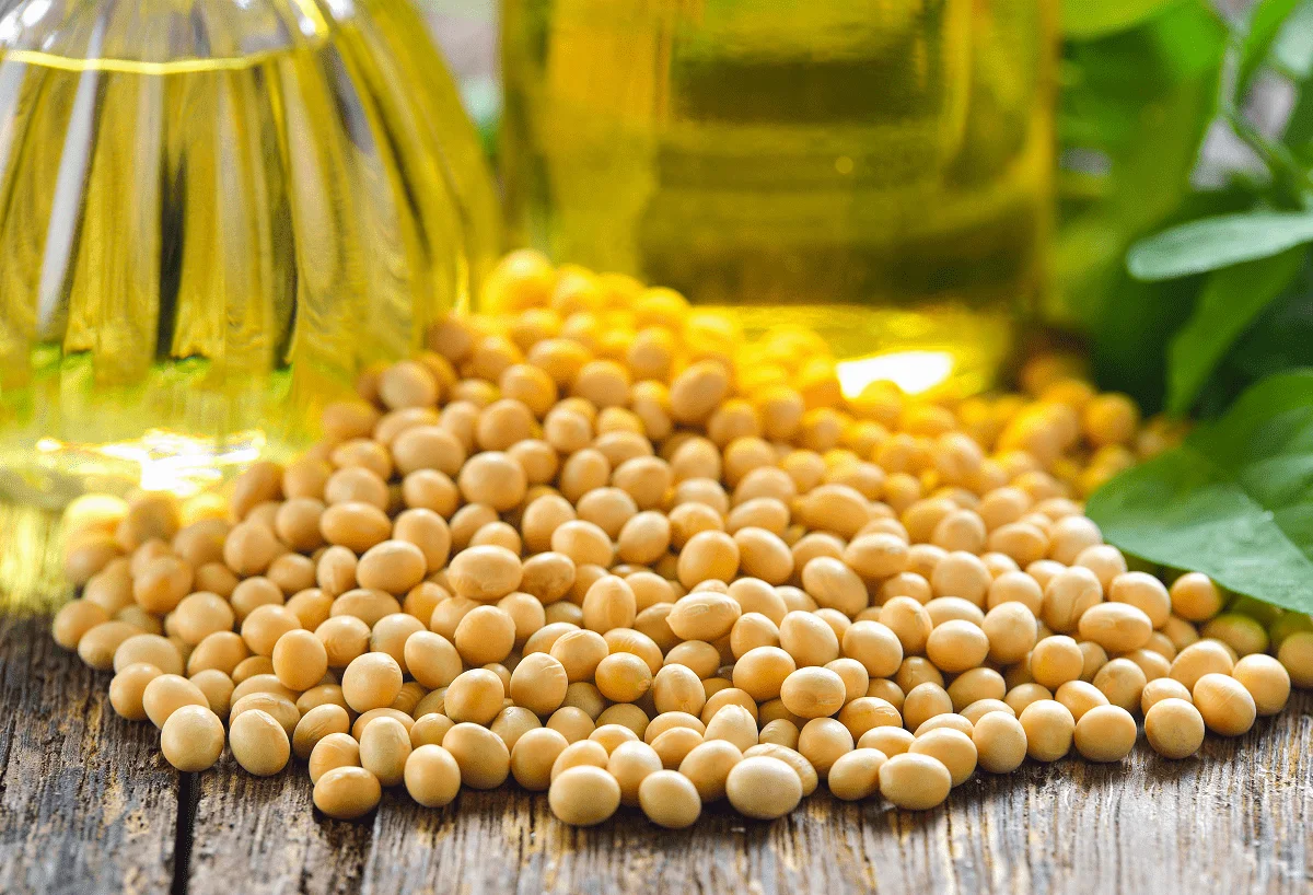 Factory Price Refined Soybean Oil bulk quantity Top Quality Refined Soyabean Oil / crude degummed soybean oil