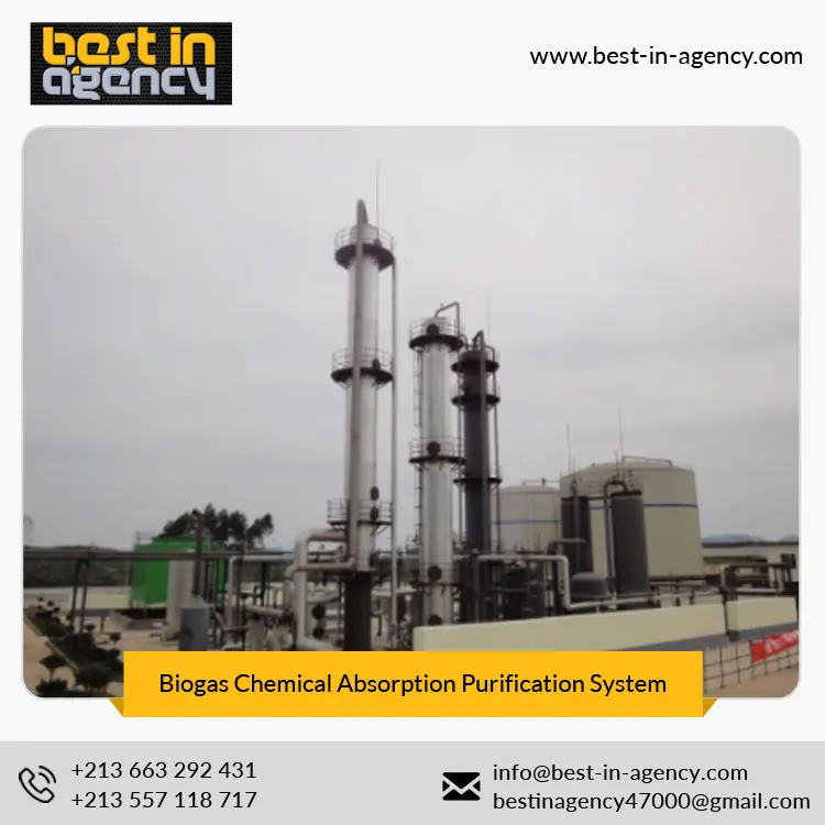 CH4 Content 97% Dry Biogas Chemical Absorption Natural Gas Upgrading Purification System Manufacturer