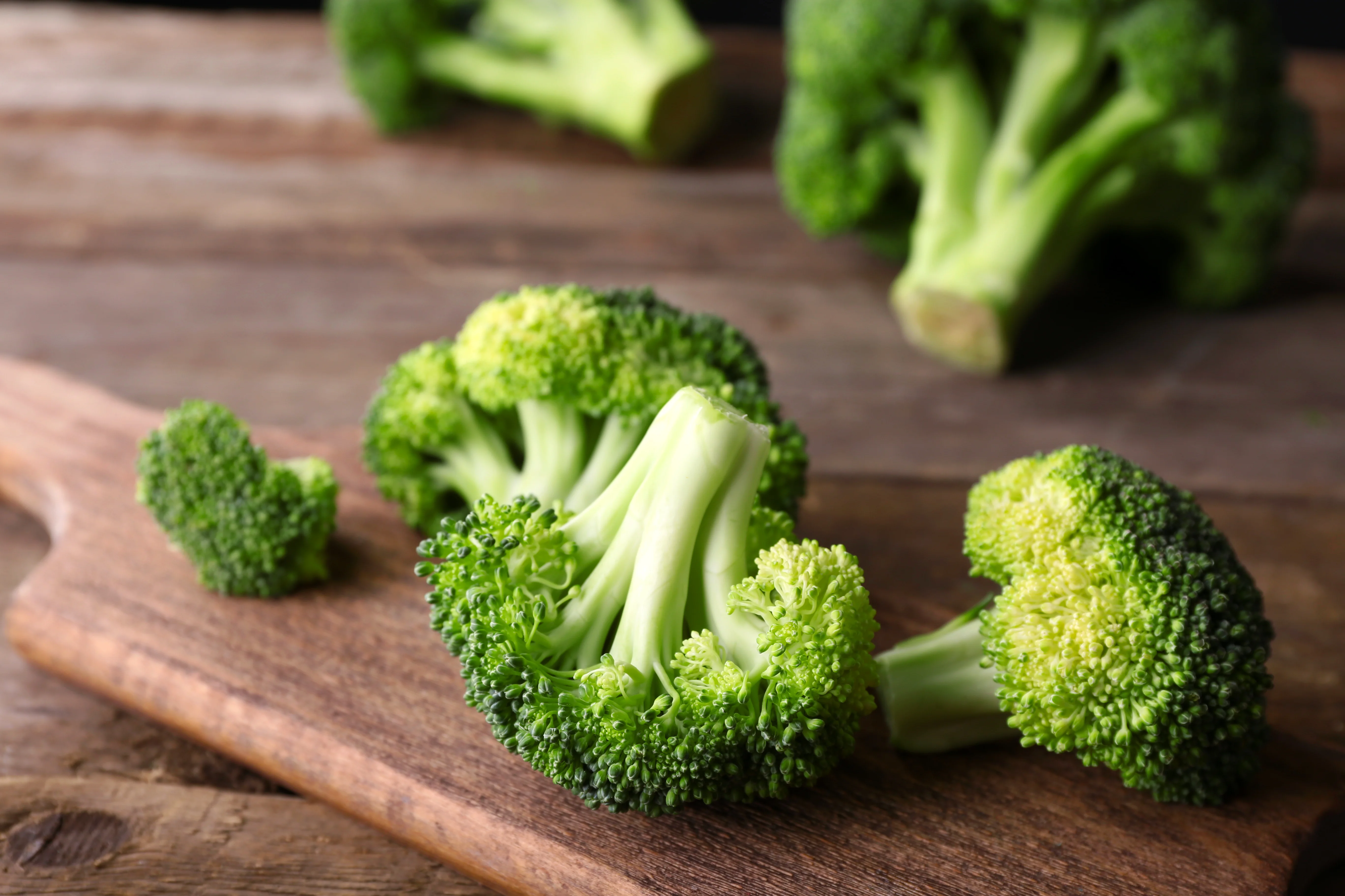 Wholesale High Quality Fresh Broccoli Vegetable Origin Turkey Fresh Broccoli