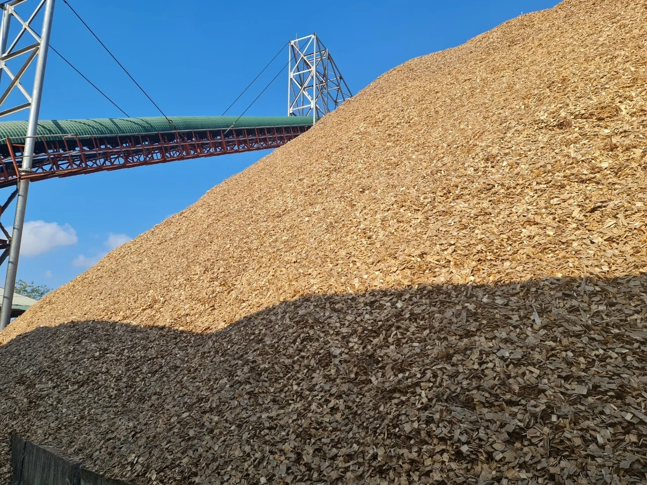 Древесные стружки