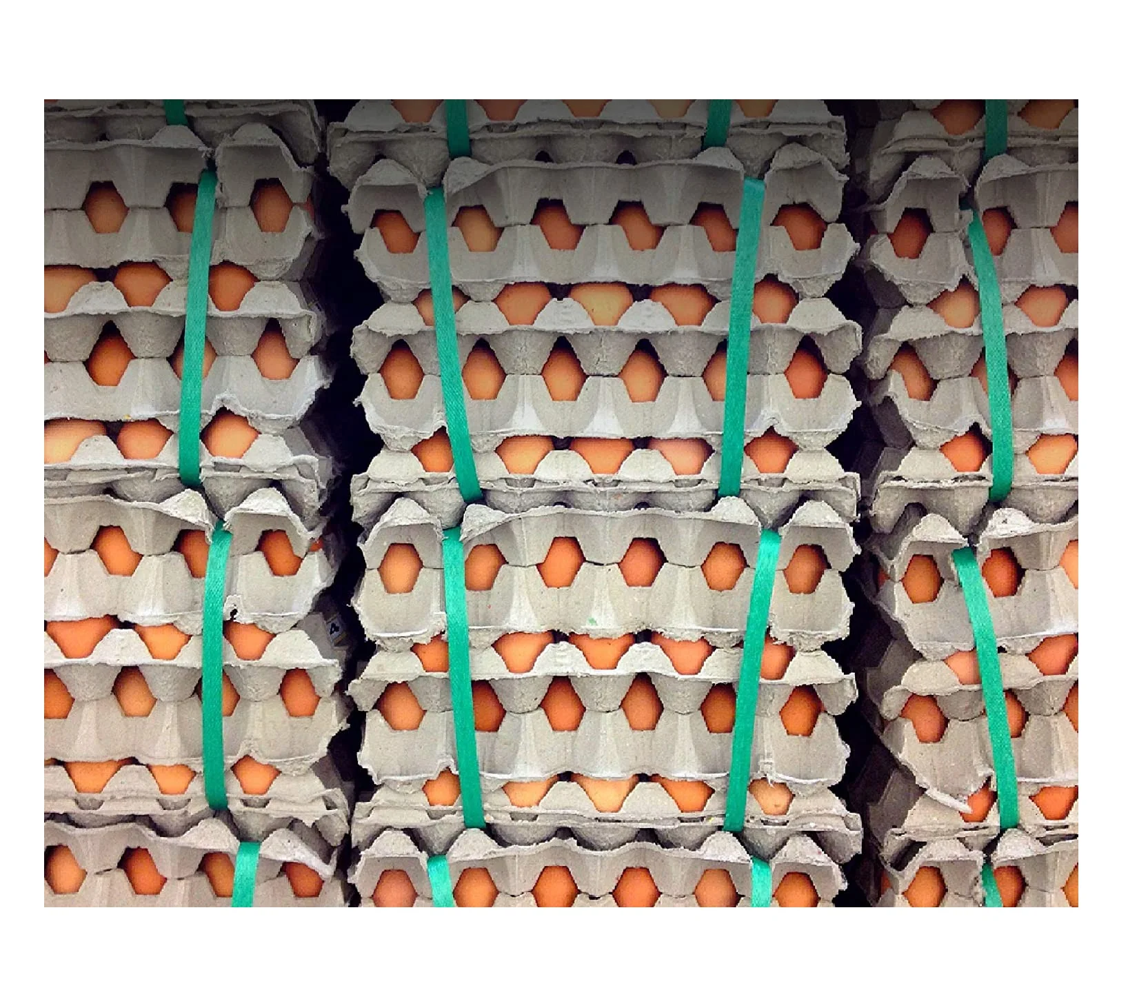 Свежие куриные яйца для фермы из Польши/оптовая продажа свежих коричневых и белых куриных яиц для продажи, ферма, куриные инкубаторы, поставка яиц