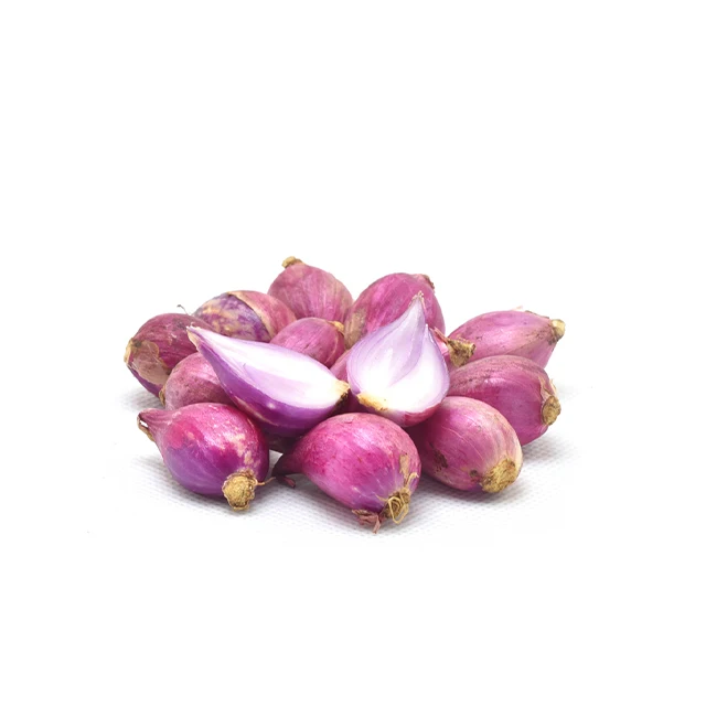 Shallot for Export / Fast delivery and Quick response / Wholesale from Vietnam