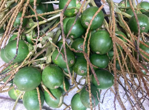  Сушеные Орехи betel по конкурентоспособной цене из