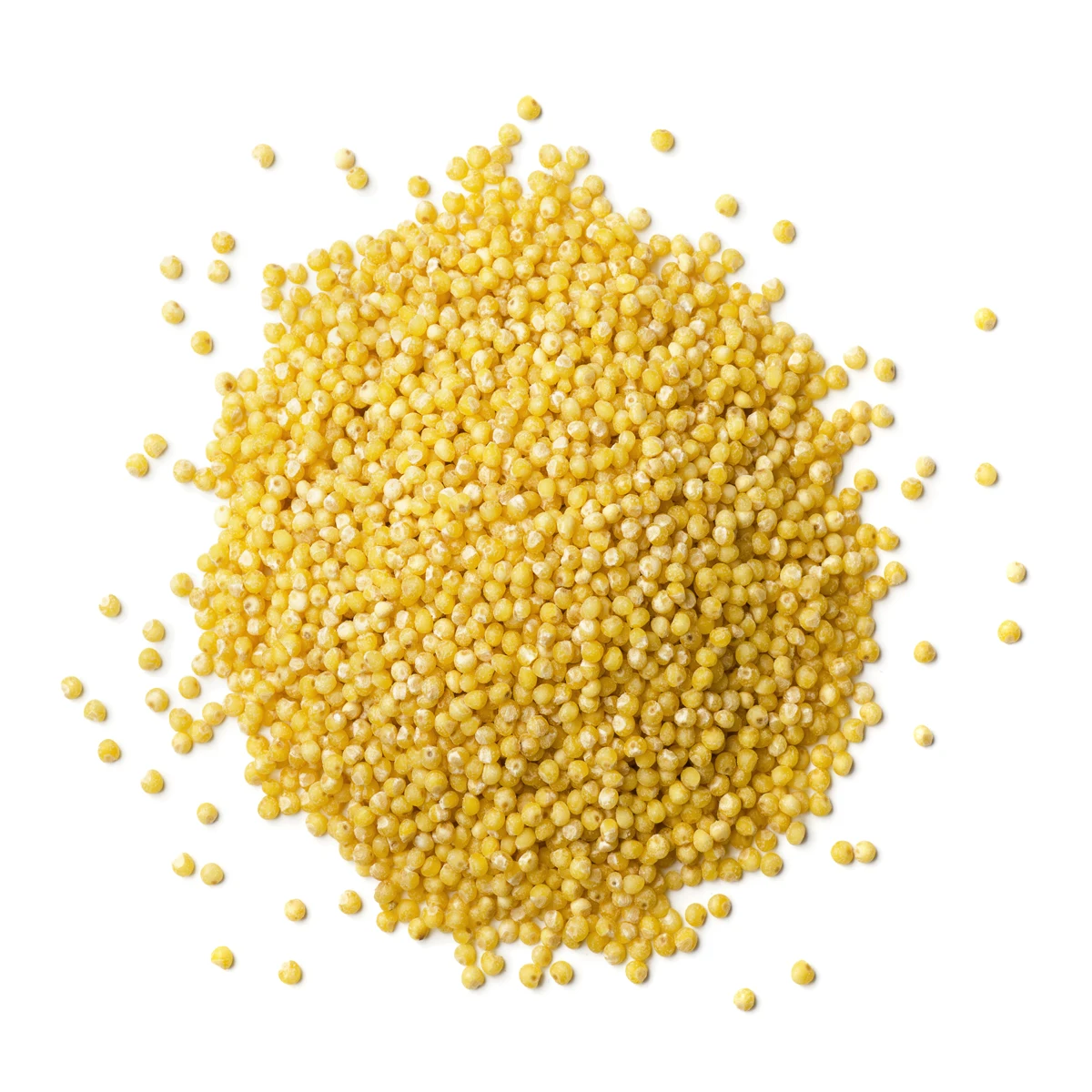 
Quality yellow millet grain for cooking, millet 