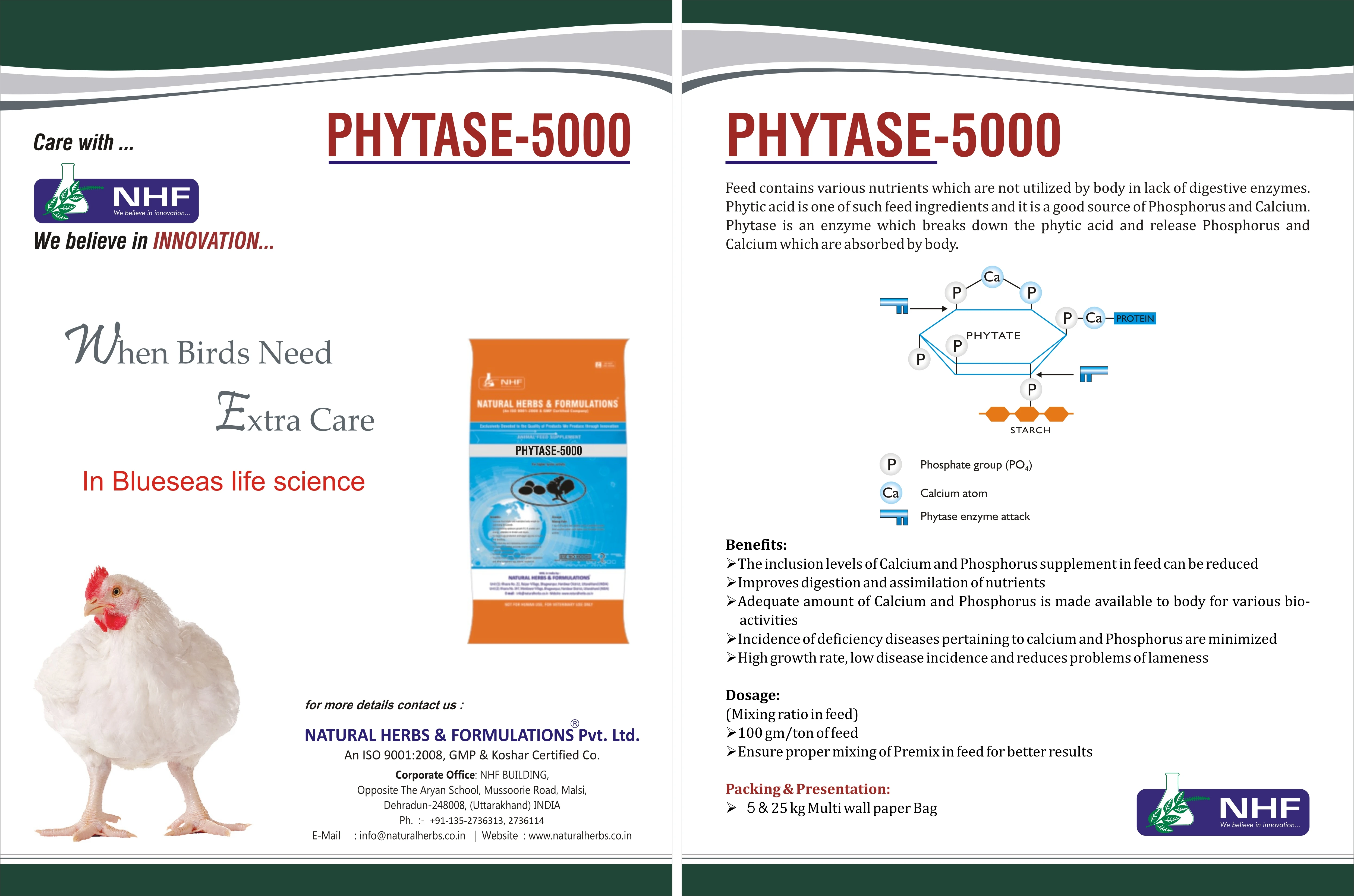 Natural Phytase Digestive Enzyme for Broilers and Layers Veterinary Medicine for Poultry Birds