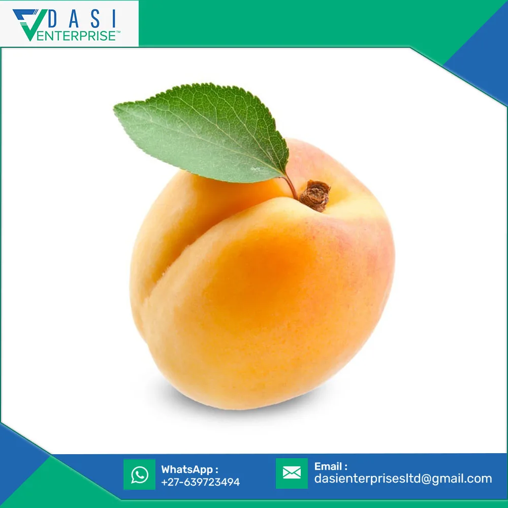 2021 High Class Cartoon Packaging Selling Of Fresh Orange Apricot Available At Best Price