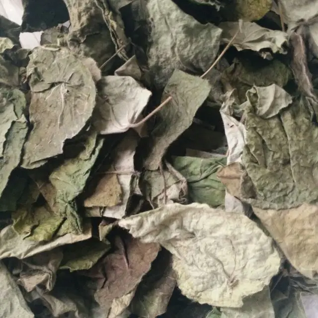  Желейный порошок с зеленой травой по хорошей цене для приготовления желейного пудинга-Ms Sophie + 84 901 022 641