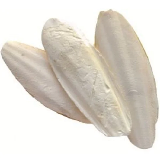 Режущая кость доступна по лучшей цене