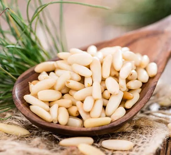 100% Best Quality Pine nuts Cheap Rate Pine nuts
