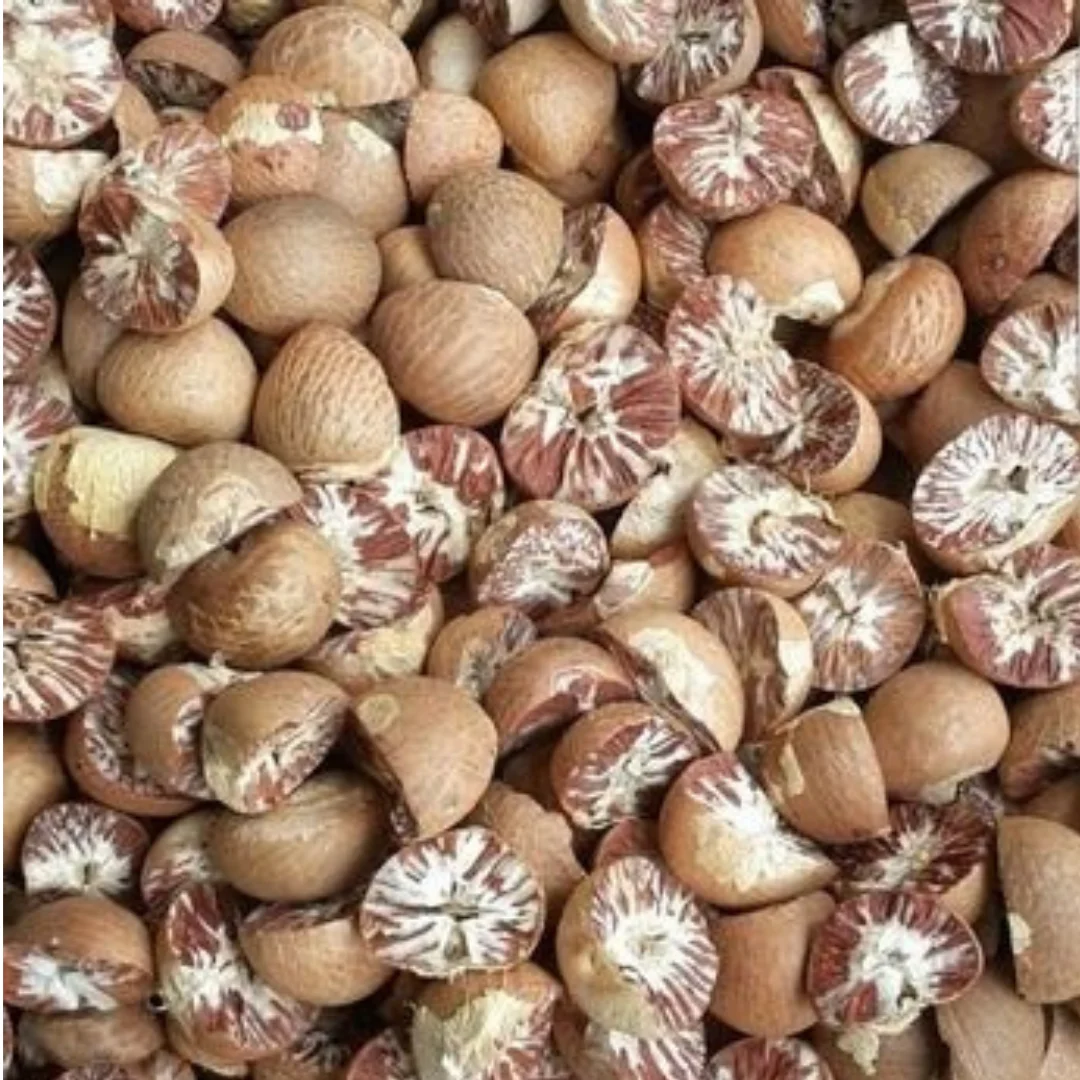 Wholesale Supari Areca Betel Nut Brown Indonesia