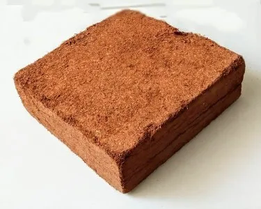  Cocopeat блок кокосовое волокно Coir Pith порошок мешок используется для выращивания растений по лучшей цене-Мисс