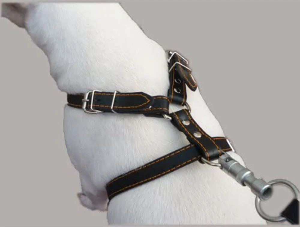 high quality wholesale large pet harness custom logo soft Real Leather Dog Walking Harness Medium Black 21-26 Chest