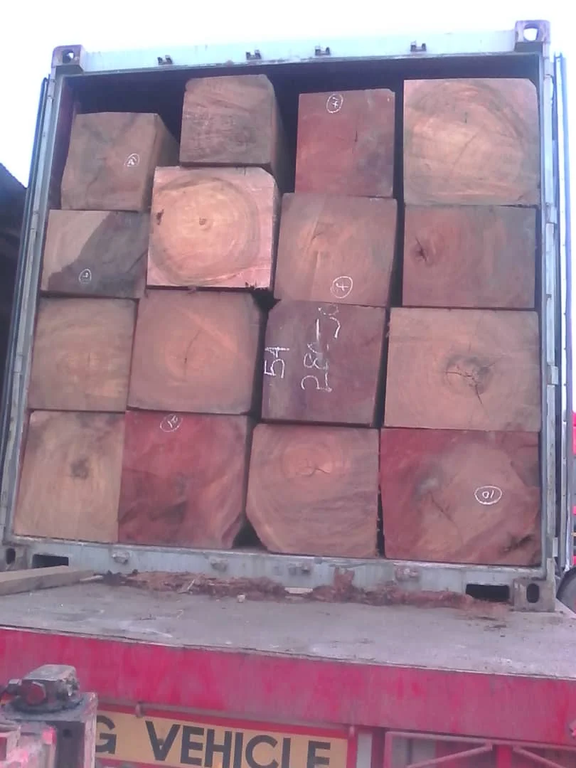 Denya Woods Logs High Quality Denya Wood Hard Teak Round Wooden Log Premium Quality