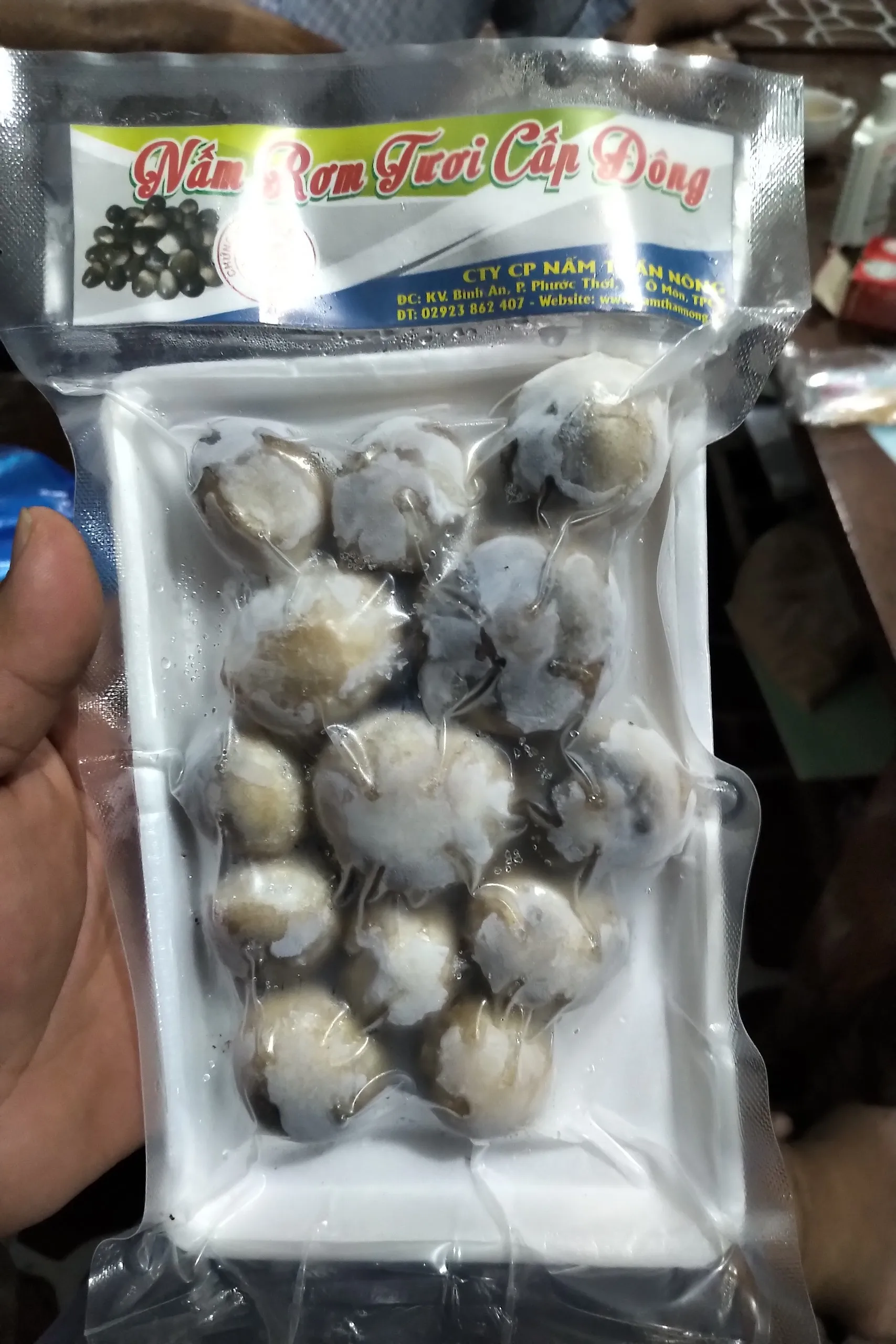 Wholesale HIGH QUALITY MUSHROOM/ Canned Mushroom / Canned Salted Mushroom From Vietnam
