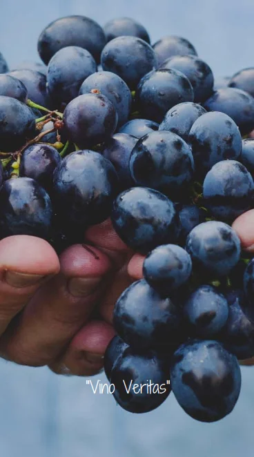 Super Quality Italian Liqueur  GRAPPA Riserva 43% Alcohol Typical Tuscany Spirit