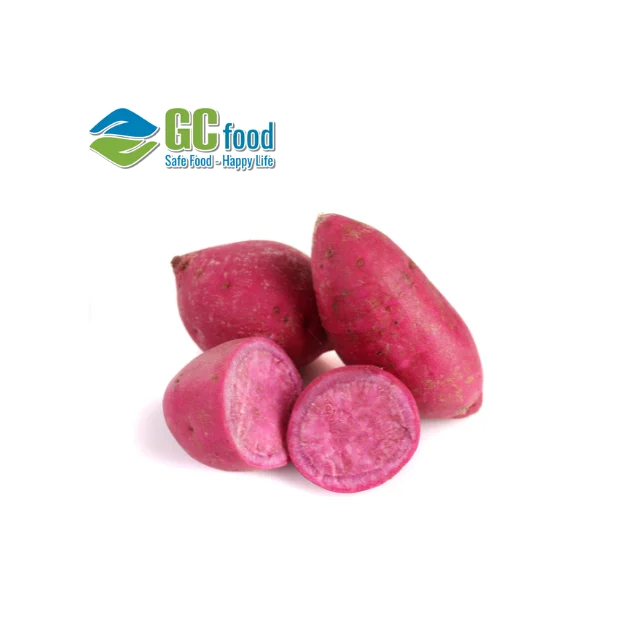 (GC Food) свежий картофель-100% зрелый Урожай-LC/TT по лучшей цене для оптовой продажи