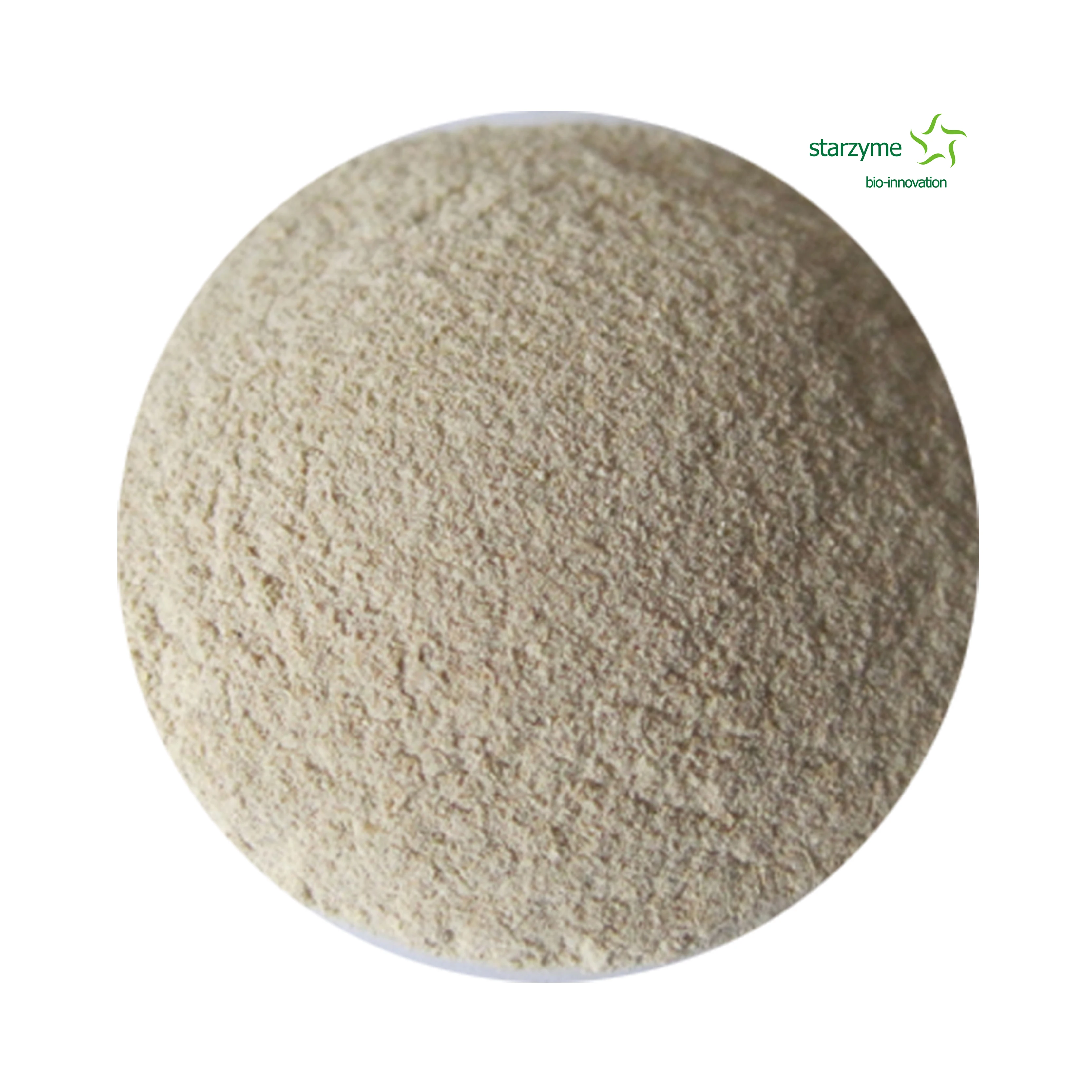 
Fungal Alpha Amylase Enzyme Factory 