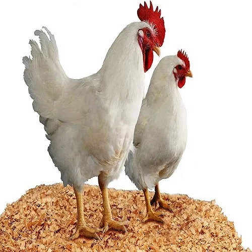 CHEAP PRICE EID AL ADHA ANIMAL FEED PALM KERNEL EXPELLER FATTENING GROW FOR CHICKEN,COW,GOAT,SHEEP IN Madinat Ash Shamal QATAR