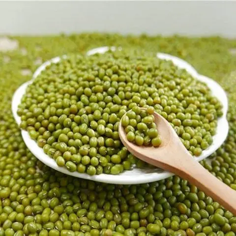 Wholesale High Quality Green Mung Beans For Sale In Cheap Price