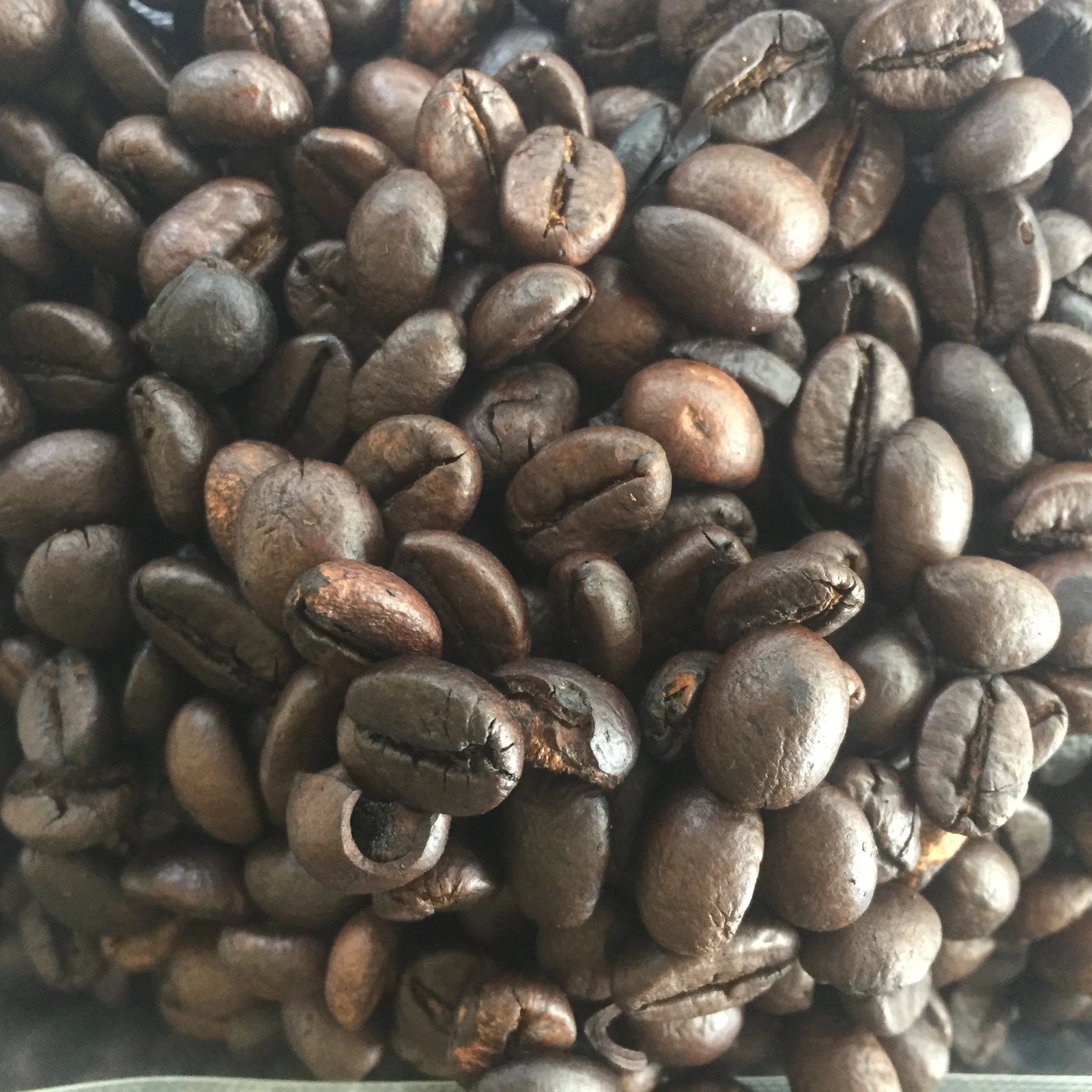 Жареный кофе в зернах Robusta-наша собственная плантация Бали 100% натуральный аромат индонезийского вкуса лучшее качество и цена