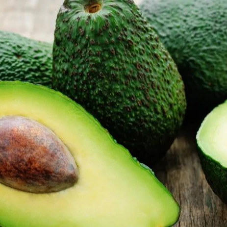 Quality Fresh Fuerte Avocado For Sale