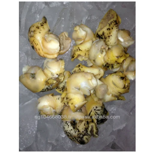 Frozen Cooked Whelk Meat