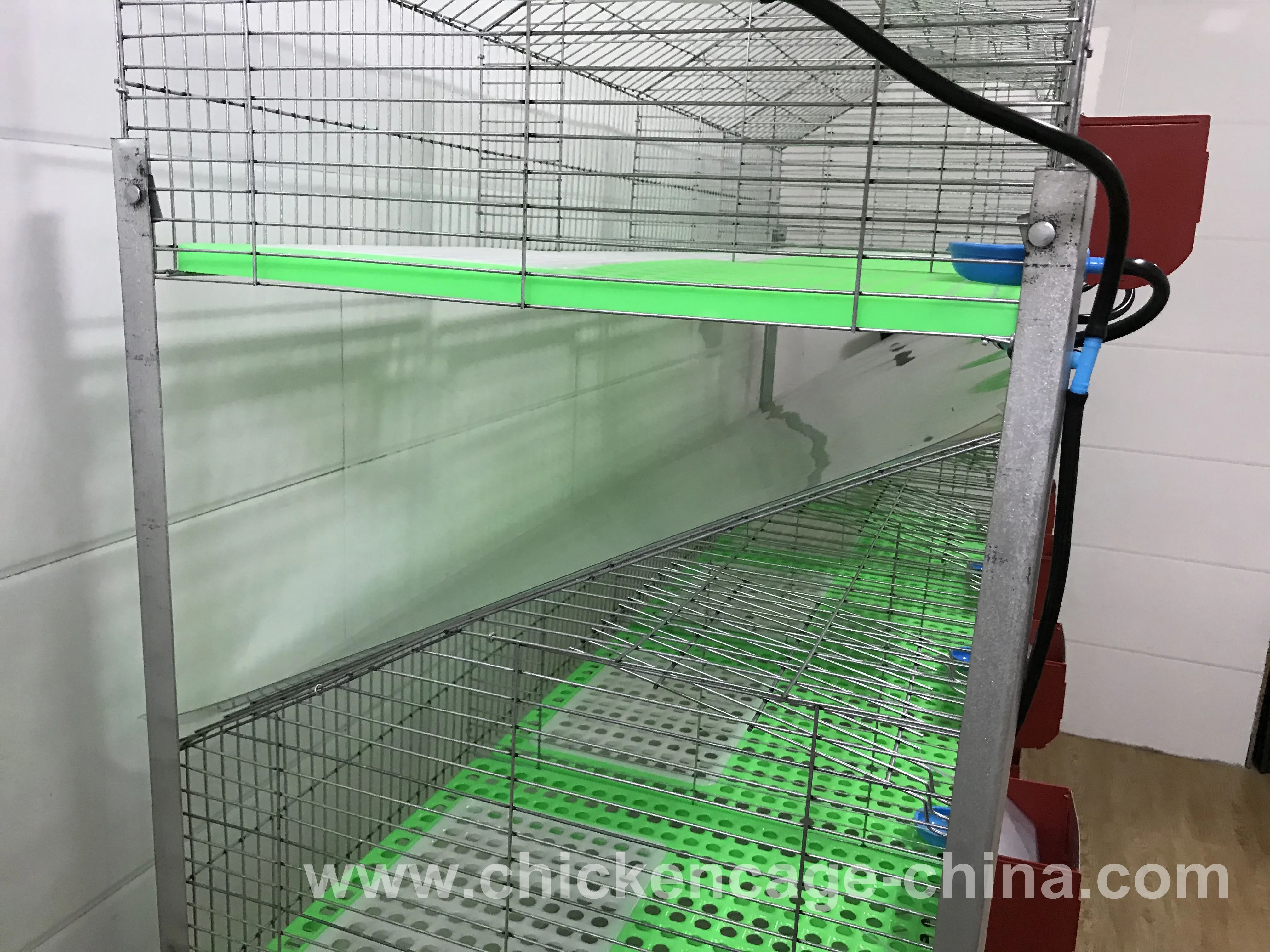 Easy Clean Rabbit Cage In Kenya Farm With Plastic Rabbit Cage Trays