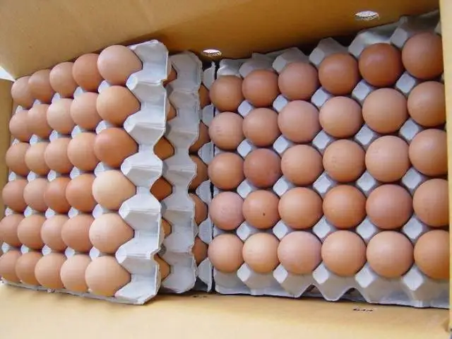 Wholesale Fresh Brown/ White  Chicken Table Eggs