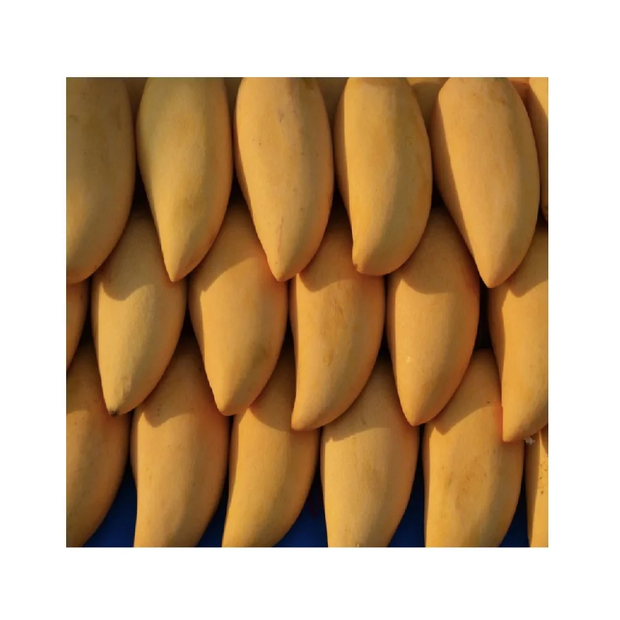 
Best Selling Premium Quality Yellow Sweet Taste Namdokmai FRESH MANGO From Thailand 