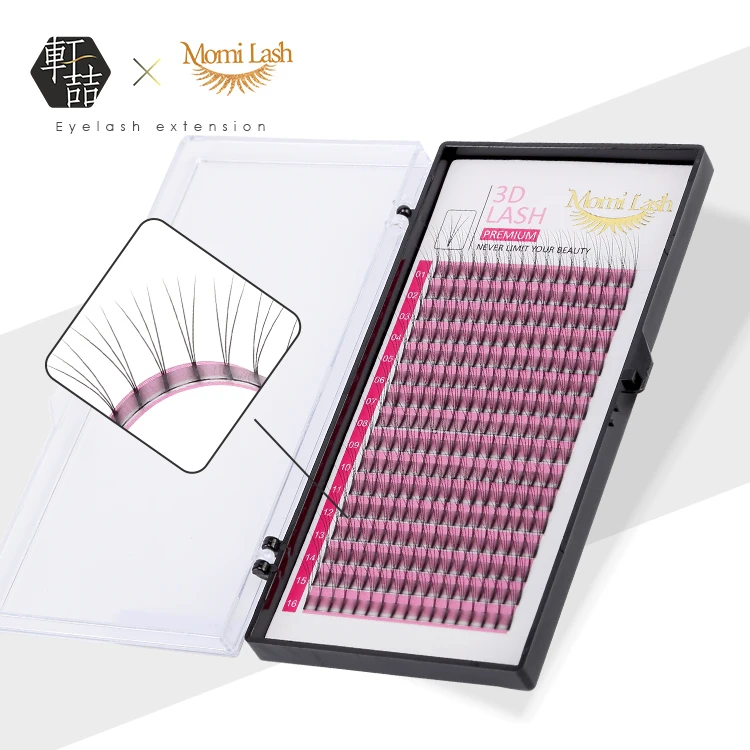 New Private Label 3D Premade Fans Lashes Vietnam Volume Eyelashes